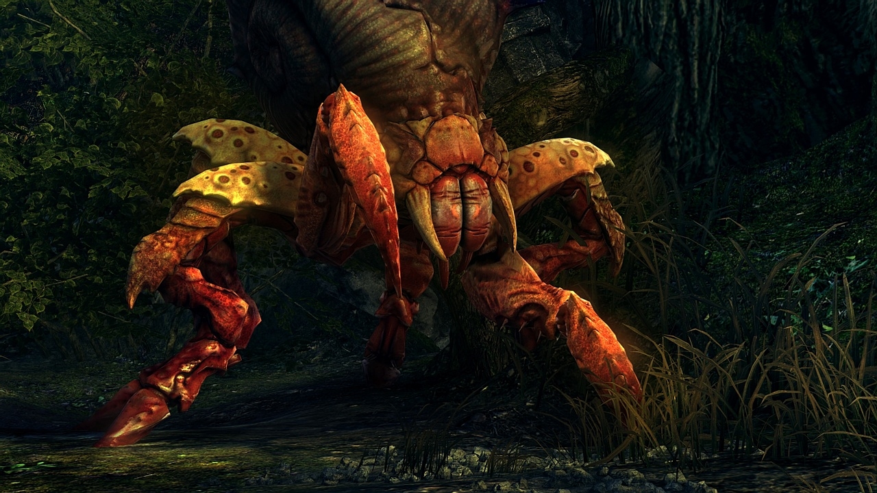 The Witcher 2: Assassins of Kings Screenshot 5