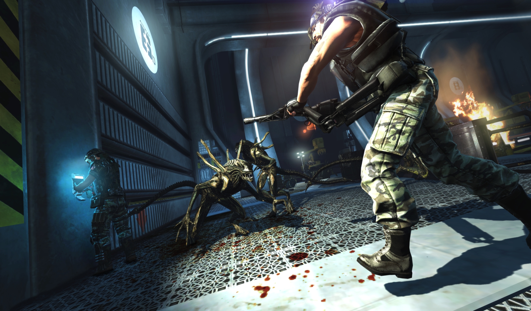 Aliens: Colonial Marines Collection Screenshot 2