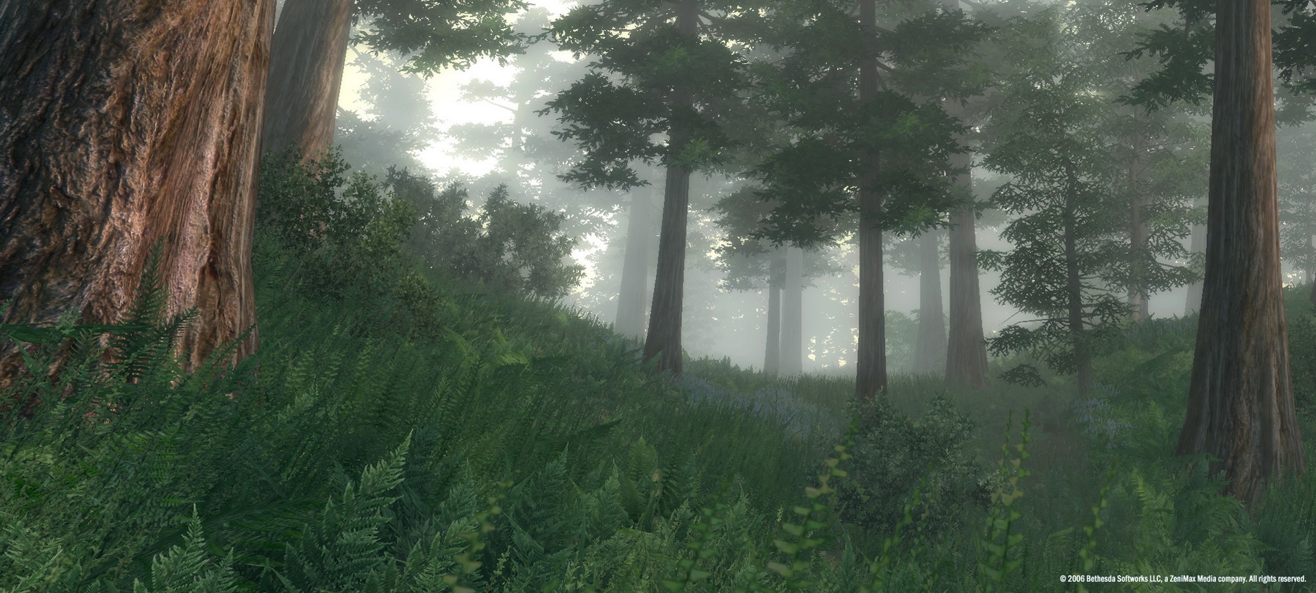 The Elder Scrolls IV: Oblivion Game of the Year Edition Screenshot 2