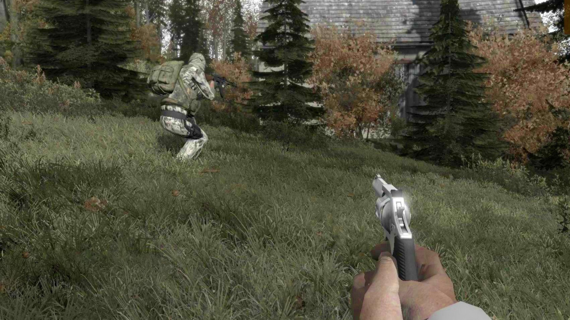 ArmA II: DayZ Mod Screenshot 6
