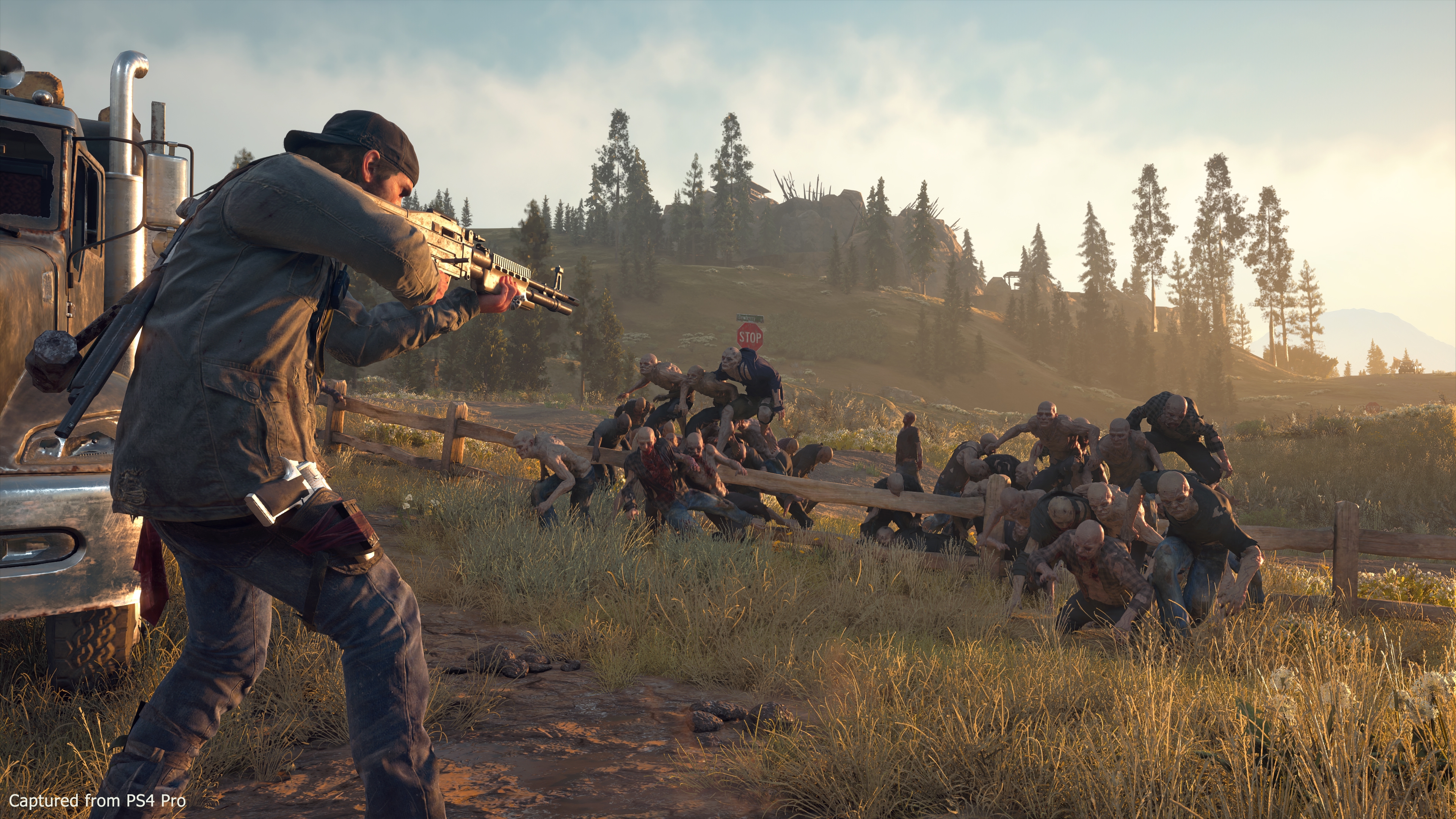 Days Gone Screenshot 2