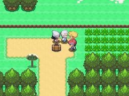 Pokémon Diamond, Pearl Screenshot 4