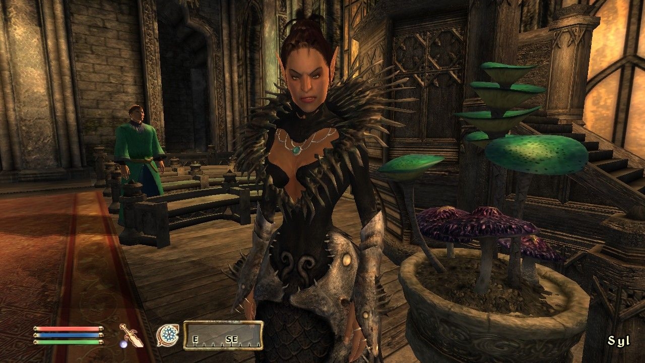 The Elder Scrolls 4: Shivering Isles Screenshot 7