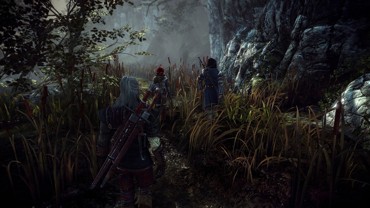 The Witcher 2: Assassins of Kings Screenshot 6