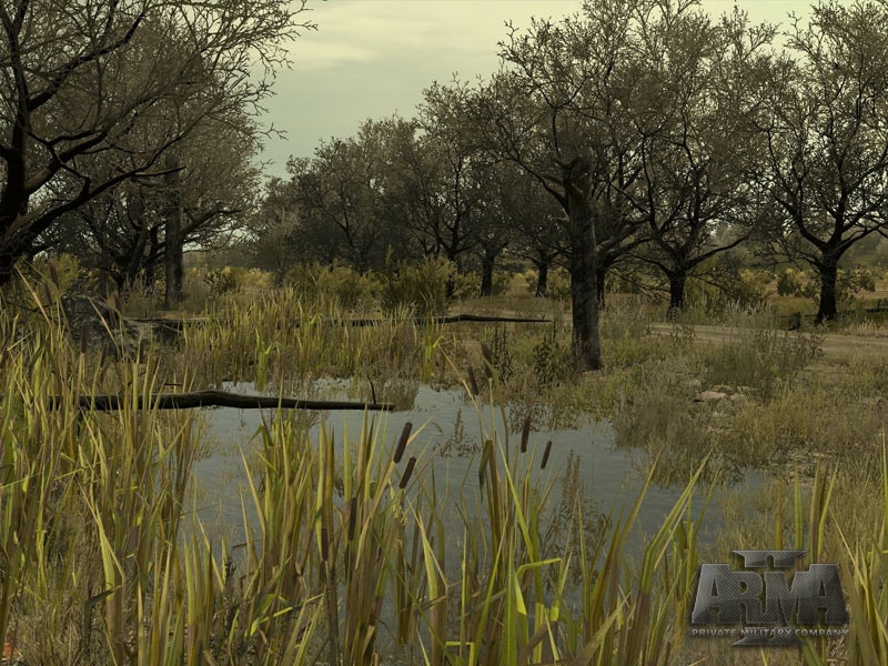 ArmA II: Private Military Company Screenshot 7