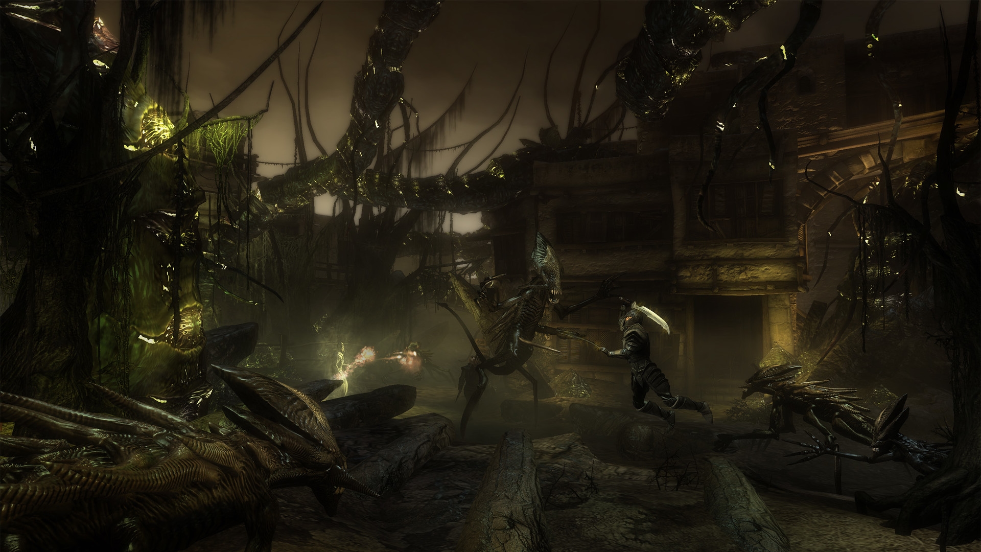 Two Worlds II HD - Call of the Tenebrae Screenshot 7