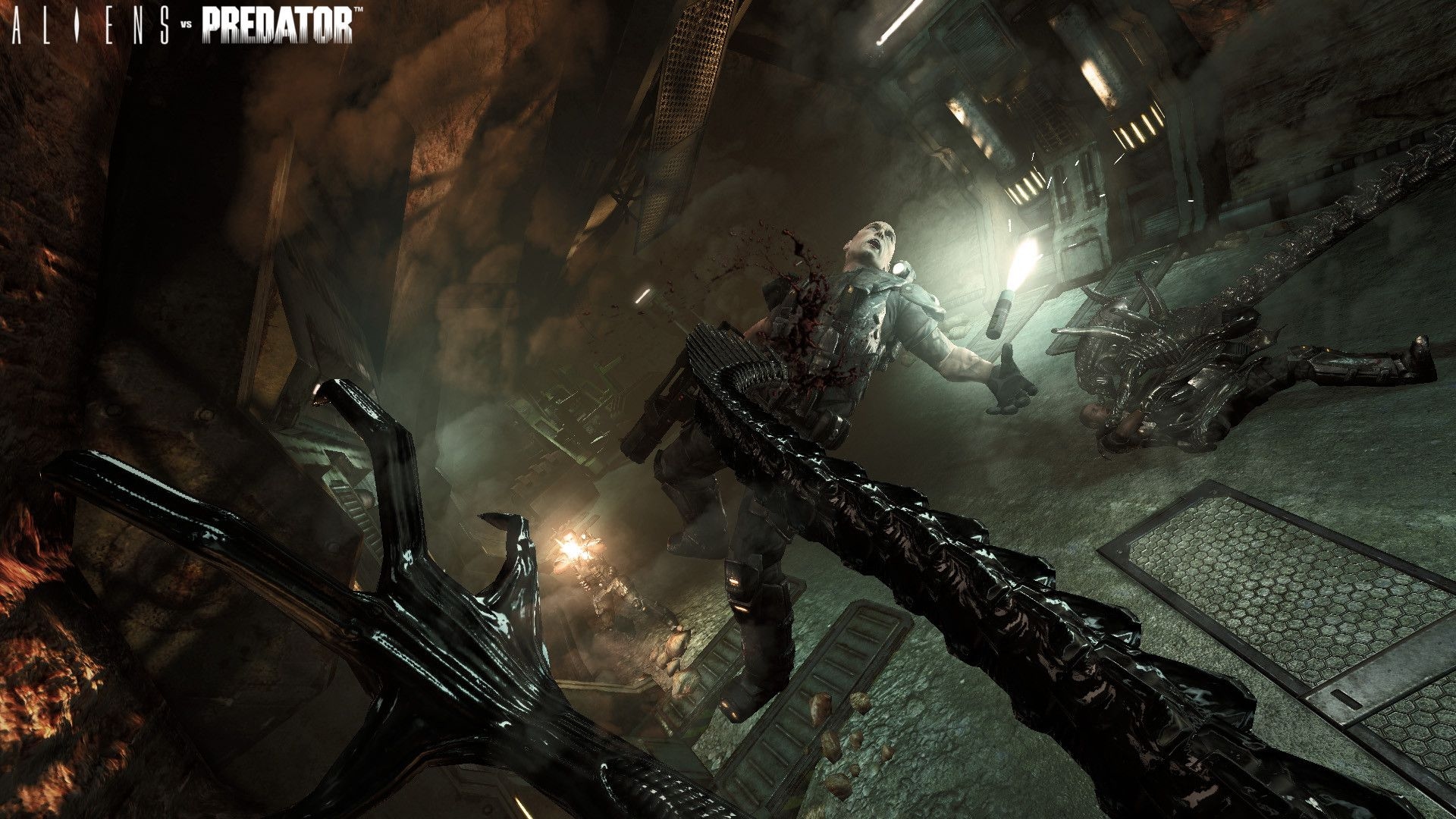 Aliens vs. Predator Screenshot 4
