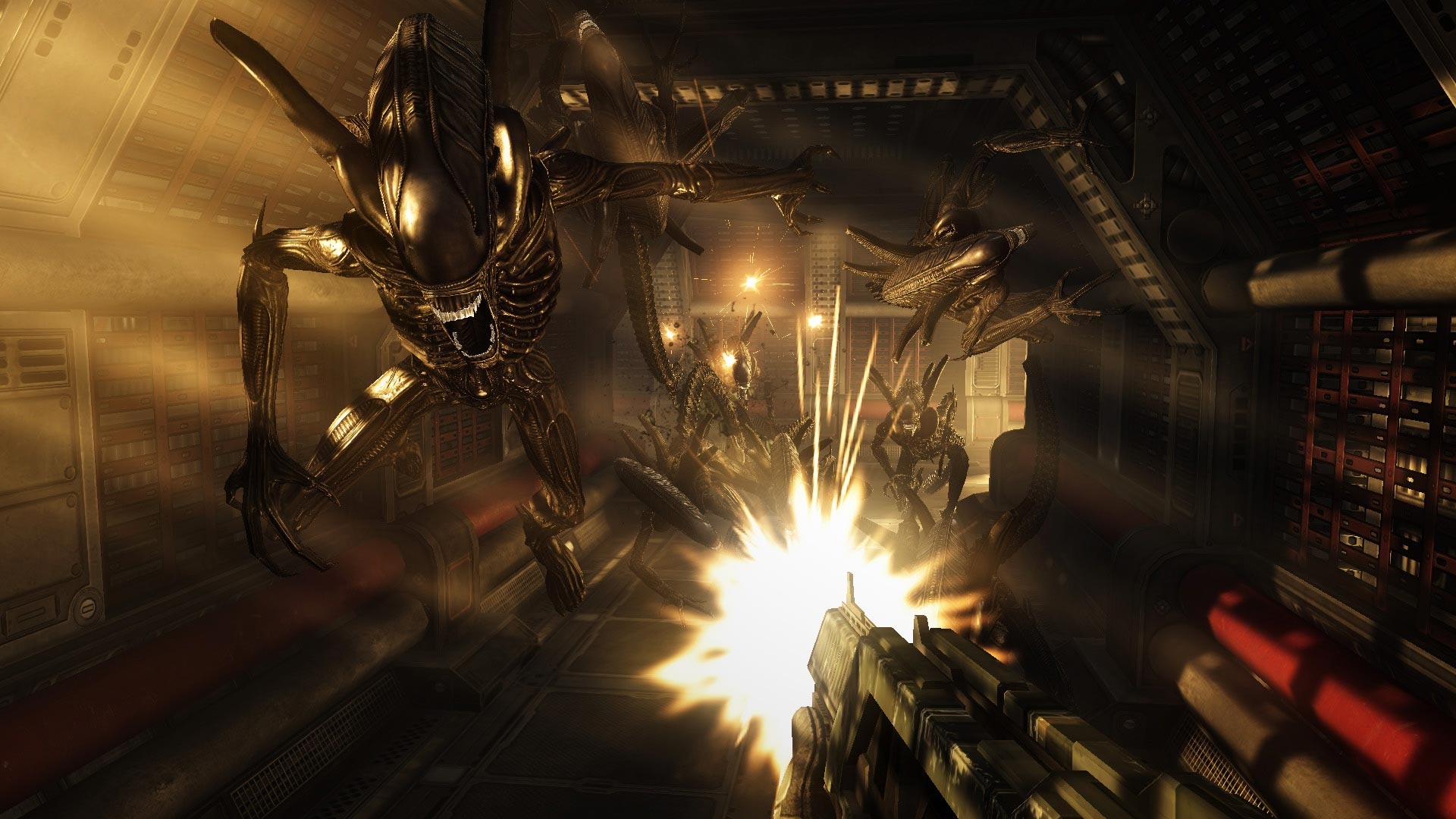 Aliens vs. Predator Screenshot 7