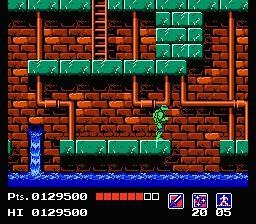 Teenage Mutant Ninja Turtles (1989) Screenshot 4