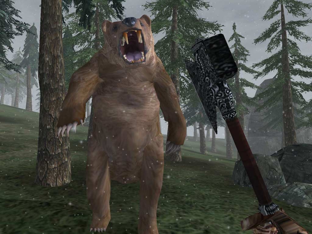 The Elder Scrolls 3: Bloodmoon Screenshot 5