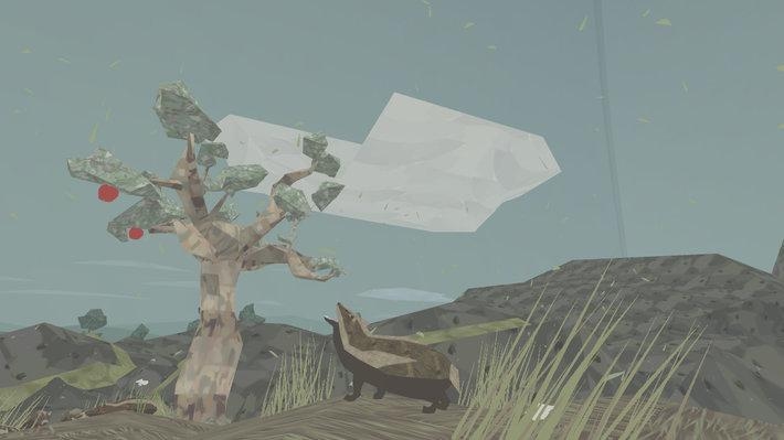 Shelter